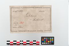Etiketten zu Bronzebrillenfibel (NHMW-PRAE-024067)